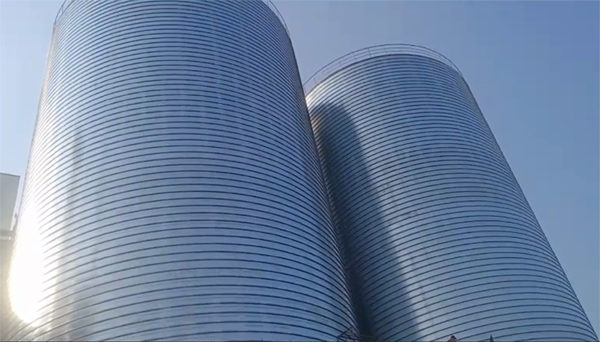 舒兰2座混凝土高架卷板仓